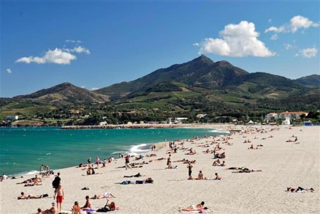 Studio/F1Bis A 50 M De La Plage Argelès-sur-Mer Εξωτερικό φωτογραφία
