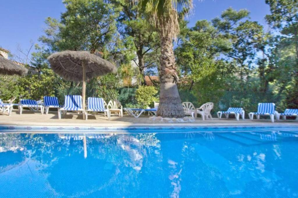 Studio/F1Bis A 50 M De La Plage Argelès-sur-Mer Εξωτερικό φωτογραφία
